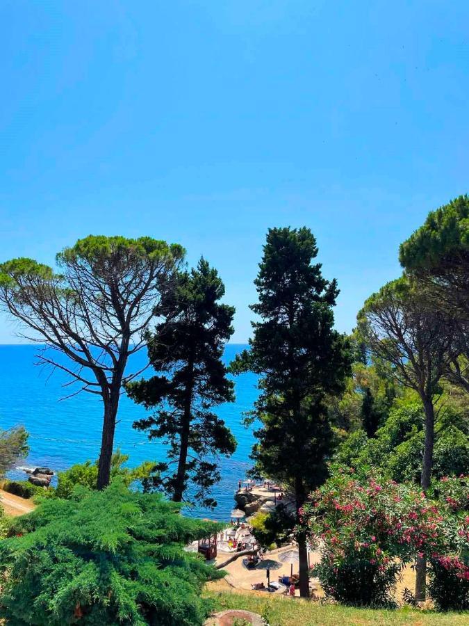 Corpus A - Hotel Albatros Ulcinj Buitenkant foto