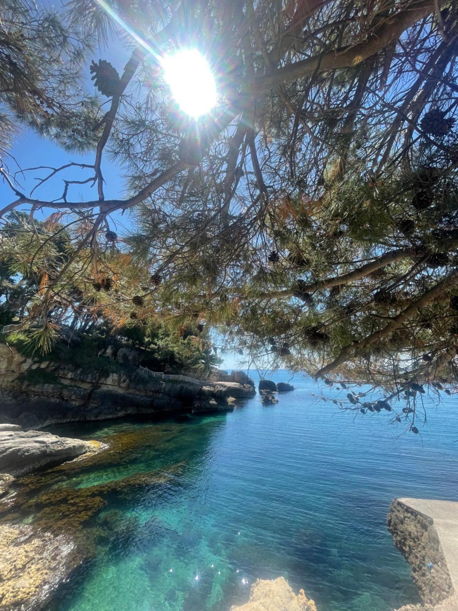 Corpus A - Hotel Albatros Ulcinj Buitenkant foto